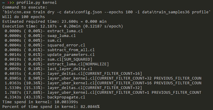 Console output of profile.py with kernel option. Each line contains kernel name and time spend